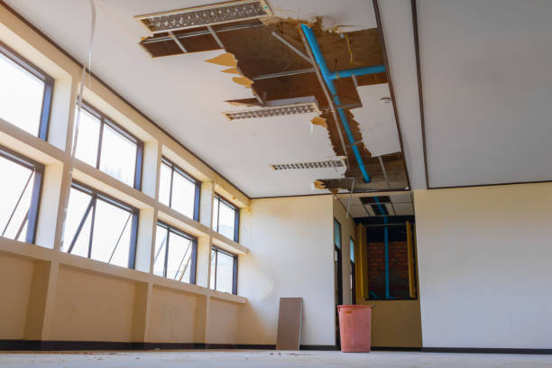 Best Professional water damage repair  in Commerce, TX