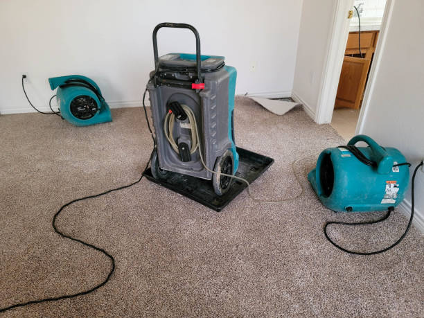 Reliable Commerce, TX Water damage restoration Solutions