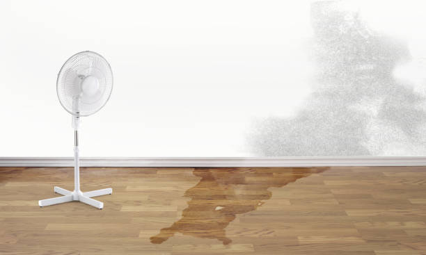 Best Water damage restoration near me  in Commerce, TX