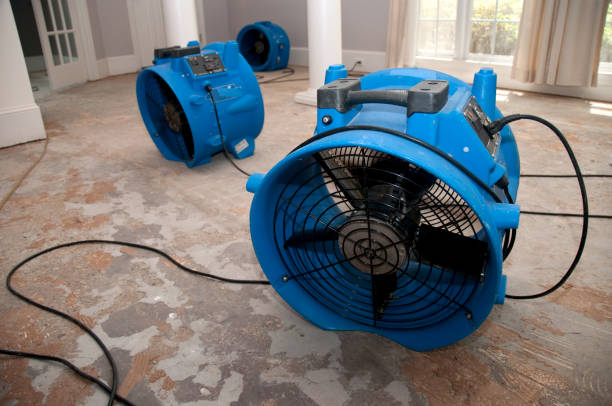 Carpet water damage restoration in Commerce, TX