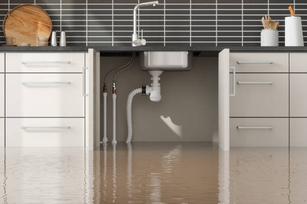 Best Sewage cleanup and water damage restoration  in Commerce, TX