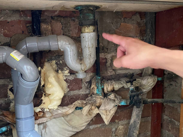 Best Mold removal after water damage  in Commerce, TX