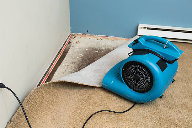 Best 24-hour water damage restoration  in Commerce, TX